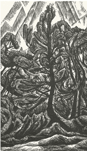A scanned woodcut image of a tree in the forest taken from the Thomas Fisher Rare Book Library materials.
