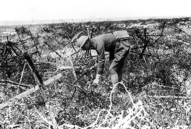 A male soldier in World War One military garb plucks a flower from the ground in Thiepval, France in 1916. He is surrounded by burned foliage and branches but there are some flowers still poking through the ground.