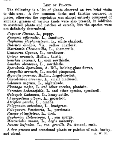 A list of plants compiled by botanist Arthur William Hill during his visits to the Somme battleground in 1917.