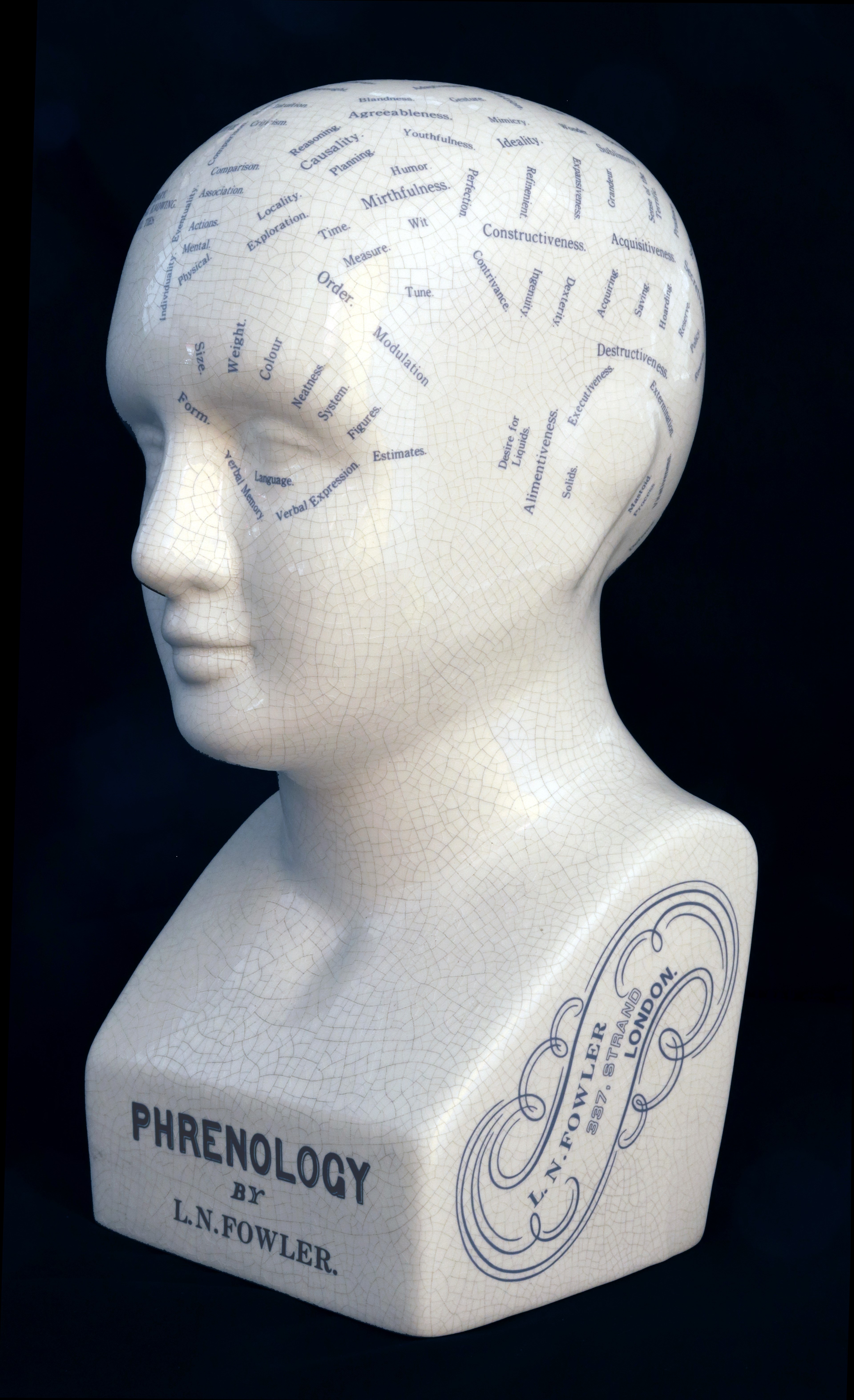 a photo of a white marble phrenology bust of a human head. the head of the bust features many descriptive words for various areas of the brain.