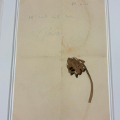 A dried pressed brown flower is spread out on an old piece of paper. The words "all well with me" are written on the paper and signed "Harold."